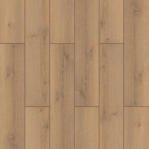 Canyon Oak