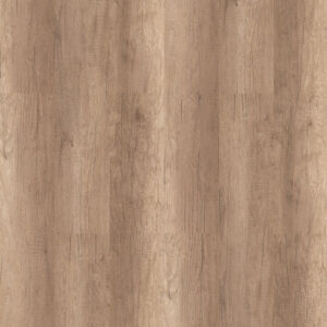 Alaska Oak