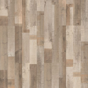 Toronto Pine